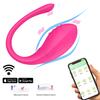 Bezdrátová aplikace Bluetooth Internetový dálkový ovladač Vibrátor pro ženy G Spot Dildo Nositelné Vibrační masáž klitorisu Sexuální hračky pro dospělé 18