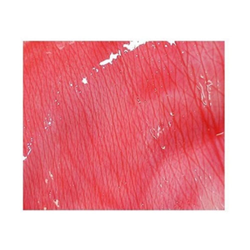 L’Ocean Tint Lip Gloss, No. 17 Sexy Red, 5.5ml, 1 Piece