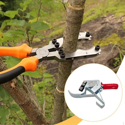 Outil d'entaillage d'arbre fruitier Jardin Pratique, Essentiel Efficace Facile à Utiliser, Robuste, Anneau