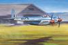 Trumpeter scale de Havilland Hornet plastic model 1/48 F.1