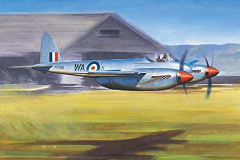Trumpeter scale de Havilland Hornet plastic model 1/48 F.1