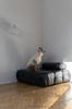 Woolen Dog Vest - Blue 4