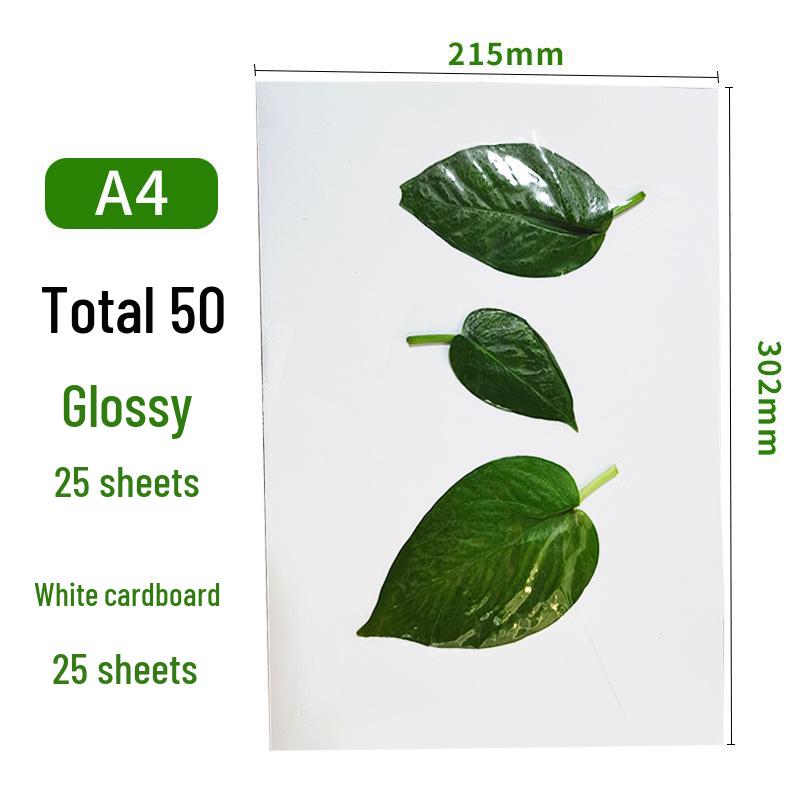 Self-Adhesive Cold Laminating Film - 6 Inch, A4, A6 for Photos, Bookmarks, and Leaf Specimens
