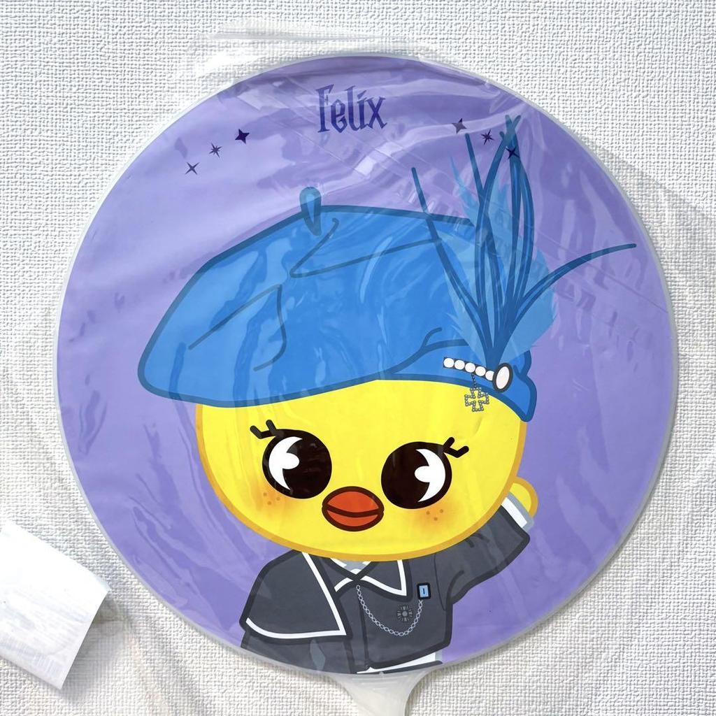 [USED] Stray Kids Magic School Felix Fan