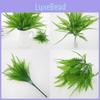 Artificial Plastic Anisochilus Carnosus Wall Decor For Indoor Props Photography
