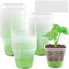 Plastic Square 3 Inch Seedling Starter Cup Transparent Nursery Container for Plant Propagation and Seed Germination with Drainage Holes