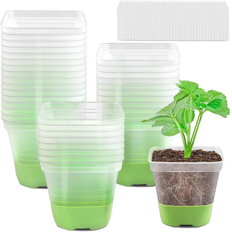 Plastic Square 3 Inch Seedling Starter Cup Transparent Nursery Container for Plant Propagation and Seed Germination with Drainage Holes