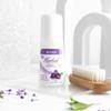 Produse pentru îngrijirea corpului – Deodorante și antiperspirante