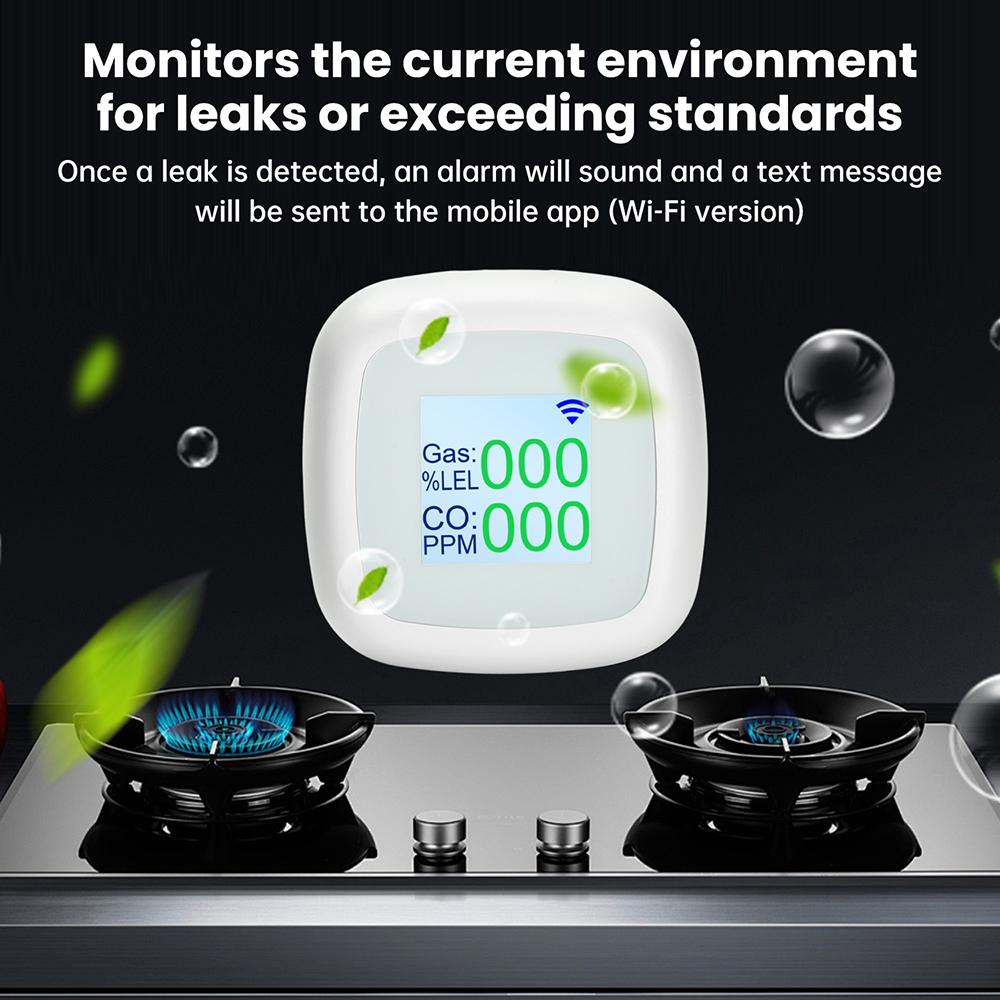 Portable Carbon Monoxide Detector Rechargeable Gas Leak Tester Suitable for Use In Homes, Garages, Offices and Similar Locations