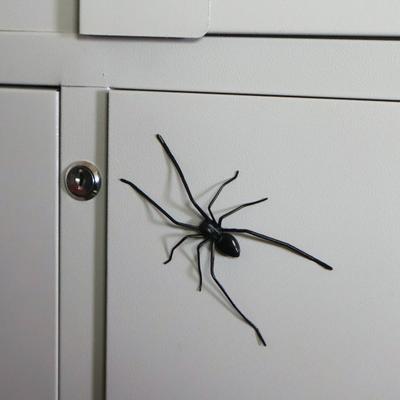 Yousheng Magnetisk Spindeldekoration Läskig Realistisk Jättespindel Halloween Skämtrekvisita Garageport Brevlåda Skåp Kylskåpsmagnet Falsk Spindel