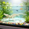 Pești și animale marine – Decorul acvariului