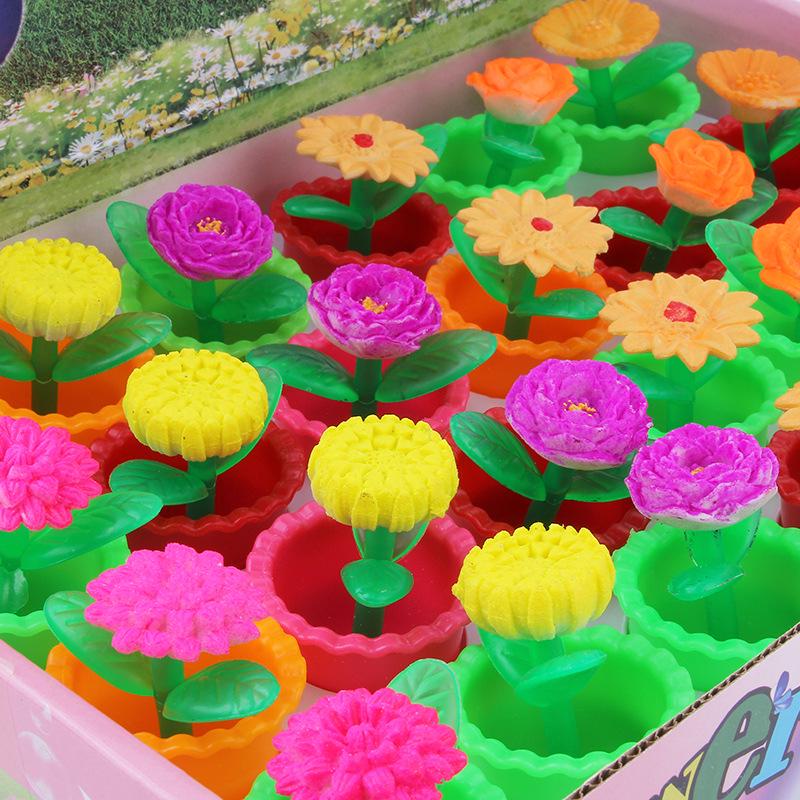 Water-Expanding Cactus Succulent Toys - Creative, Unique & Novel Gifts for Kids