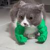 Kreative Katzen-Geburtstagsparty-Geschenke Lustige Muskelarme, Urkomische 3D-gedruckte muskulöse leichte Foto-Requisiten Schulterbefestigung für Katzen