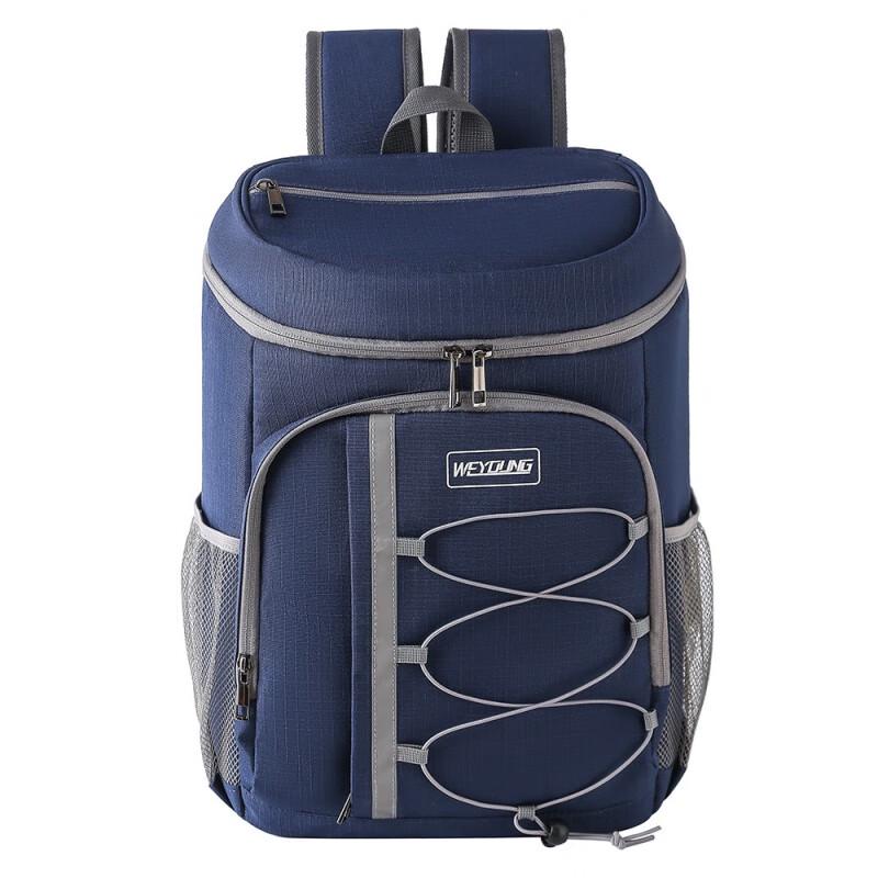 Portable Insulated Picnic Cooler Backpack 28x18x44cm