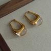 Meier Metallic Amber Acrylic Earrings Irregular Versatile Earrings Earrings