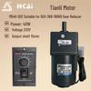 Tianli 220V 40W Single-Phase AC Variable Speed Geared Motor with 5GU Gearbox, 15mm Shaft, M540-502
