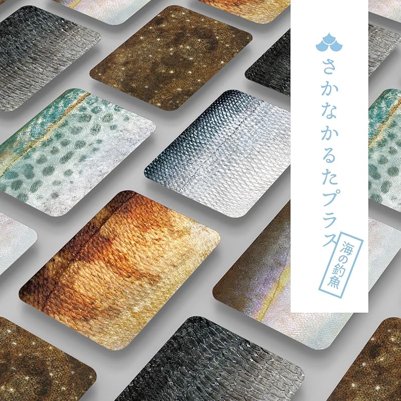 

[Офіційно] 4-те видання Рибна Карута Плюс: Морська Риболовля Edition, 6 штук, Карута Гра Карт Gamot Lab, Ваги для Ванної, Chiba Printing, Подарунок на День Народження, Дитячий