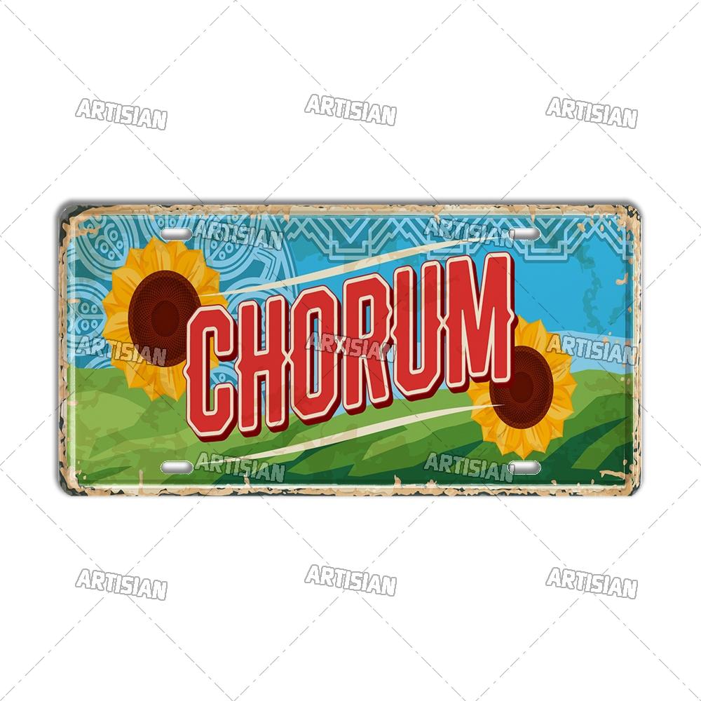 TURKEY Landmark License Plate Turkiye City Decorative Vehicle Plate Metal Tin Plaque Wall Decor Garage Bar Pub Club