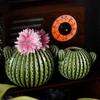 Creative Cactus Ceramic Vase Cute Household Desktop Decoration High End Green Flowers Arrangement Vase Living Room Decoration