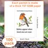 100 Pcs Funeral Seed Packets Lilly Robin Gifts Seeds Packets Memorial Funerals Favours For Guests Feed The Bird Envelopes Celebr