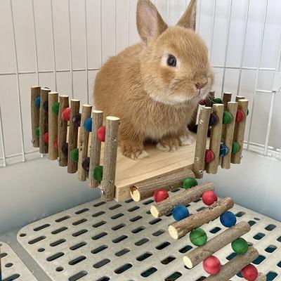 Pet Rabbit Hutch Solid Wood Fence Wooden Branch Platform Dutch Pig Ladder Pedal Hamster Chinchillas Climbing Springboard