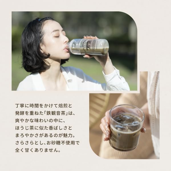 DAYLILY Taiwanese Tea Protein TAIWAN TEA PROTEIN Not At All Sweet Whey Protein No or Sugar Tea Large Pack 600g Preservatives, Sweeteners, (Tieguanyin