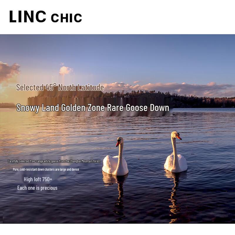 Jinyujie Women's 90% Goose Down Short Puffer Jacket