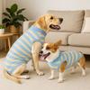 Thickened Dog Surgery Recovery Suit Breathable Bite Protective Outfit  Post-Surgery Care