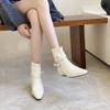 2025 Winter New European and American Square Head Short Heel Thick Heel Temperament French Fashion Belt Buckle Women's Short Boots