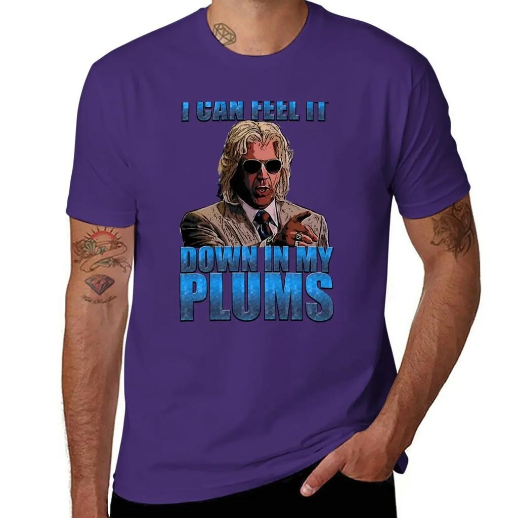 cute tops customized t shirts t shirts casual stylish i can feel it in my plums T-Shirt clothing harajuku graphic