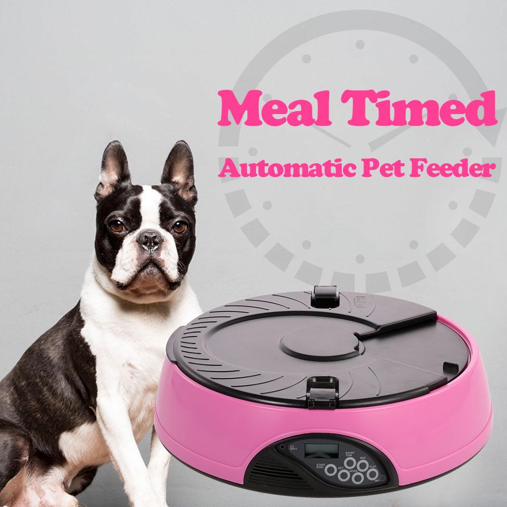 pet feeding bowl timer