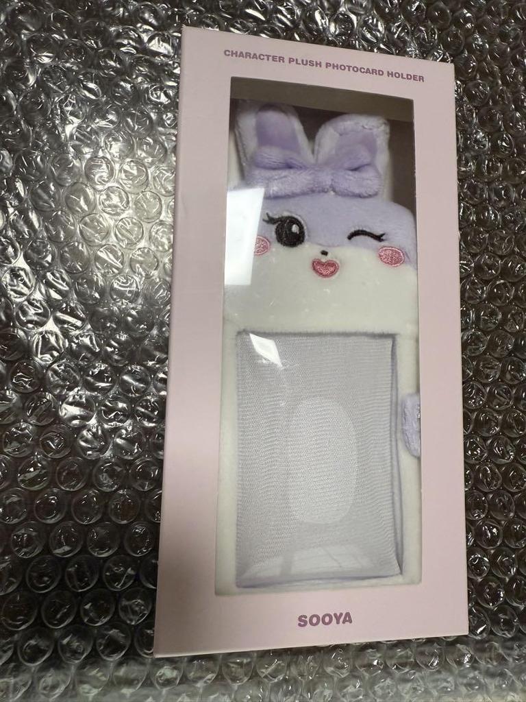 [USED] BLACKPINK DEADLINE Seoul Concert SOOYA Korea