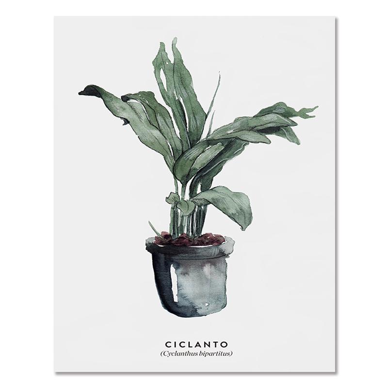 Severská zelená rastlina Listové plátno Plagáty Moderná nástenná maľba Plagát v črepníkoch Estetické obrazy do obývačky Home Decor