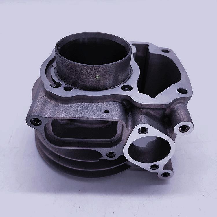 Jinyu WH110T-A Motorrad-Zylinderkit mit Dichtung, Ventil, Wellendichtring und Kolbenringen für SCR110.