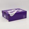 FV5926-200 Nike SB Dunk Low Pro PRM Crimson Tint and Amber Brown (Men's)