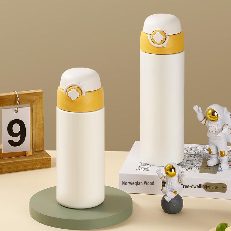 MRSIKEY Stainless Steel Insulated Water Bottle