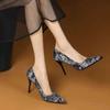 Stilito Pointed Toe Shoes for Women Black High Heel Woman Pumps Y2k Quick Delivery Stylish 39 Summer 2025 Elegant Dress Footwear