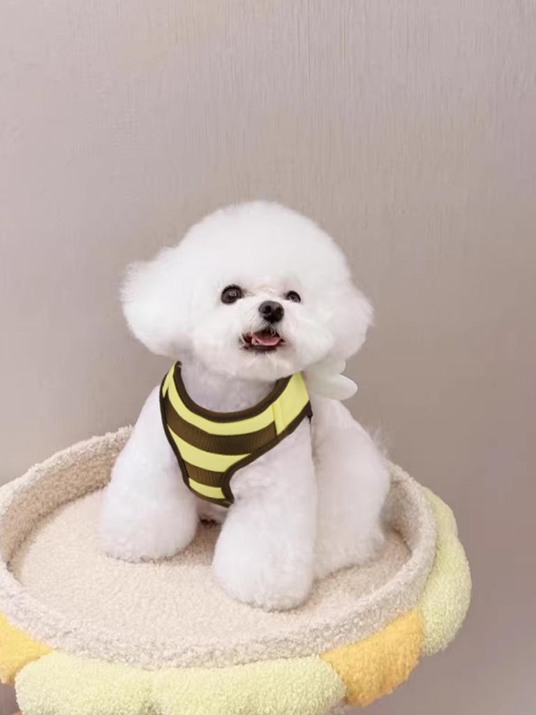 [Populärt val] Liten hundsele och koppel Step in Ingen strypning Ingen dragning Mjukt nät Bee H