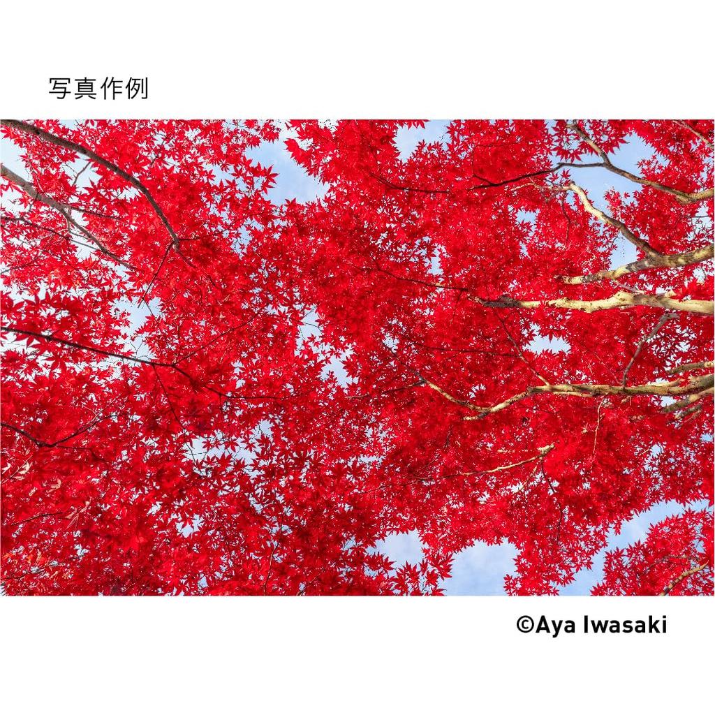 Sigma 24mm DG DN Contemporary Lens for Sony and Mirrorless Cameras F3.5 E-Mount, Wide-Angle, Full-Frame