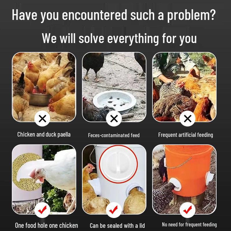 Mangeoire Automatique pour Volailles : Poulets, Canards, Oies et Pigeons