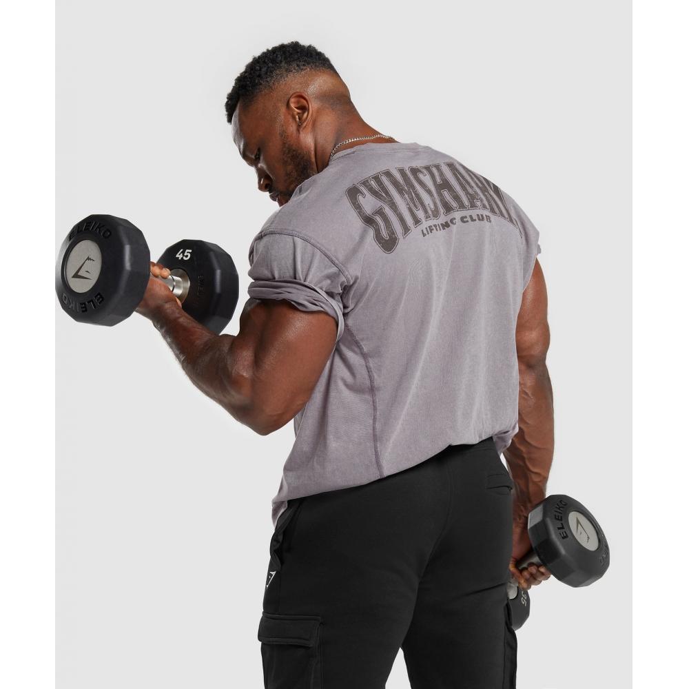 Gymshark HeriTage Washed T shirT Fog Purple A4a9h pbvT