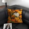 Pumpkin Cushion Cover Natural Linen Organic Fabric Double-Sided Printing Sofa Home Decor Gift Pillow Case