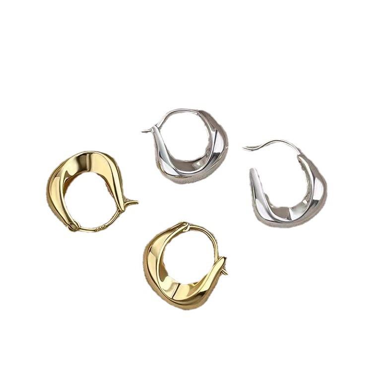925 Sterling Silver Hoop Earrings: New 2023 Luxury Style Women's Studs with High-End Feel