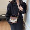Niche Handbag Women's 2025 New Versatile Fashion Shoulder Handbag Internet Celebrity Messenger Small Square Bag