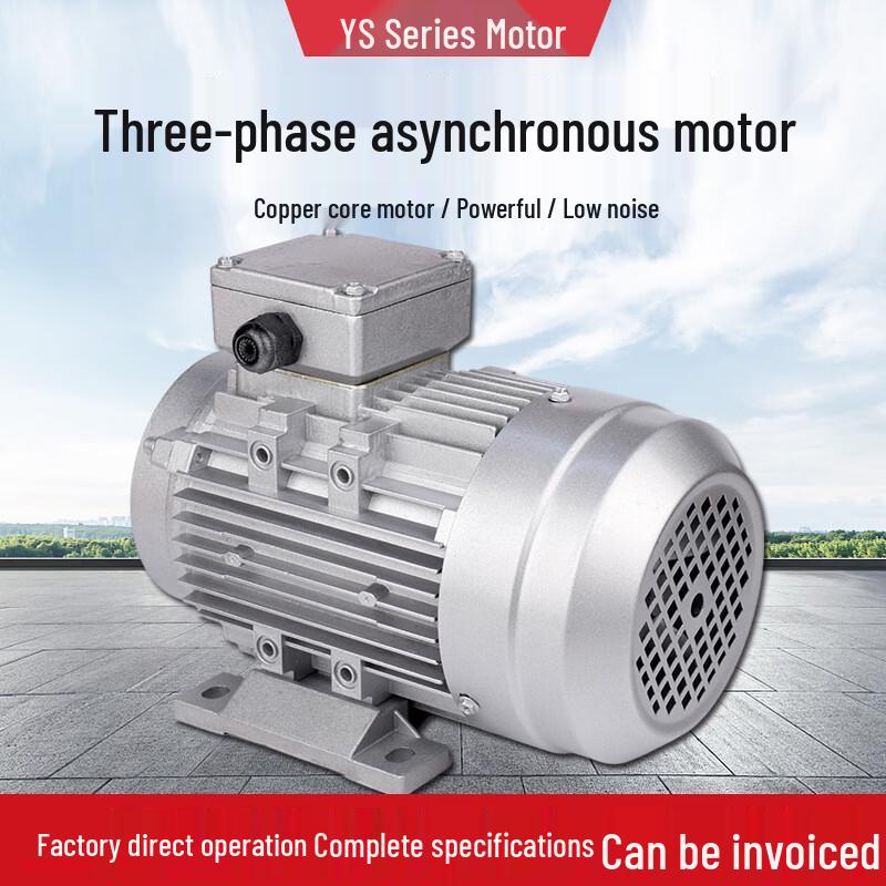 YS7144 750W Electric Motor