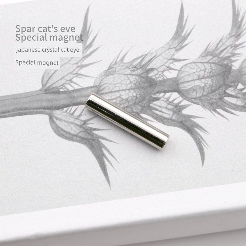 Nail Salon Special Cat-Eye Magnet Strip Strong Magnetic Stick French Cylindrical Magnet Super Strong Magnetic Strip Upgraded Version