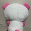 NCT Wish, 30cm Pangi