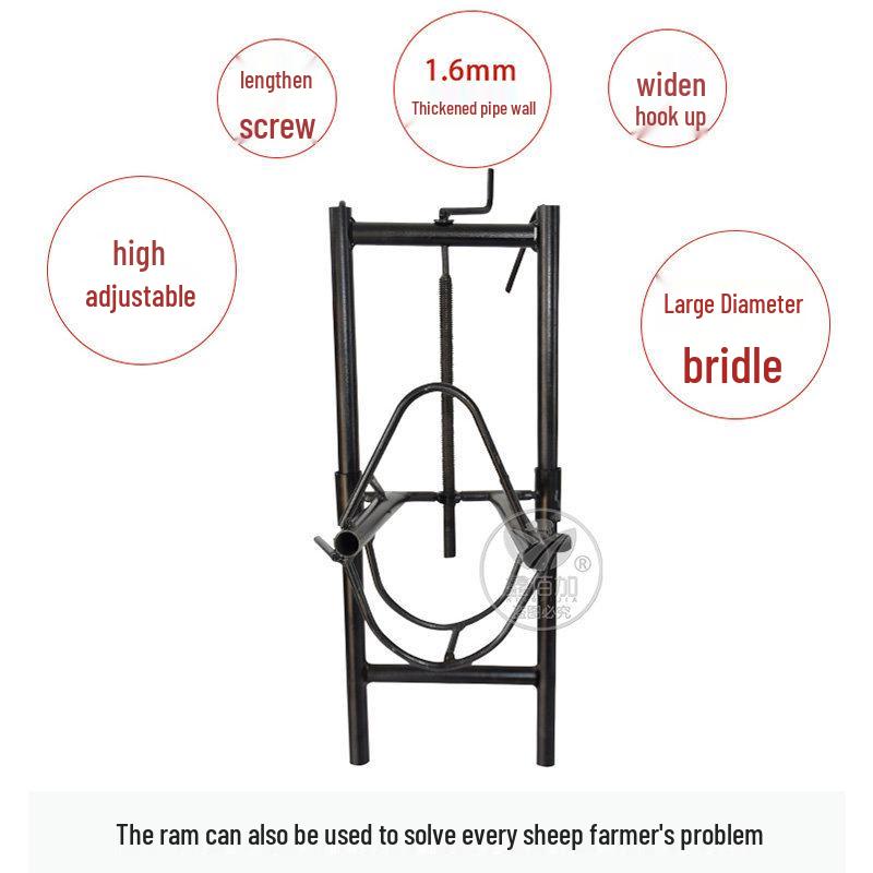 Adjustable Sheep Holding Rack for Shearing, Injection & Milking