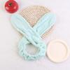 Plush Wire Alphabet Hairband