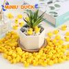 100/200 Pcs Mini Resin Ducks Bulk Tiny Ducks Set for Potted Miniature Decoration Garden Dollhouse Cake Decoration DIY Party Toys